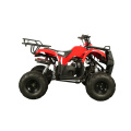 Único cilindro Mini ATV com certificado EPA (MDL GA003-2)